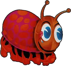 Beetle